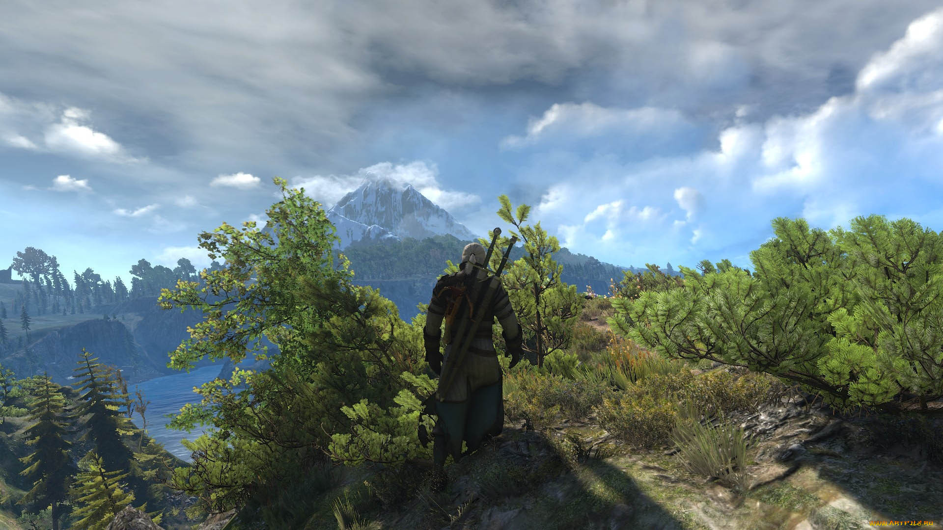  , the witcher 3,  wild hunt, 